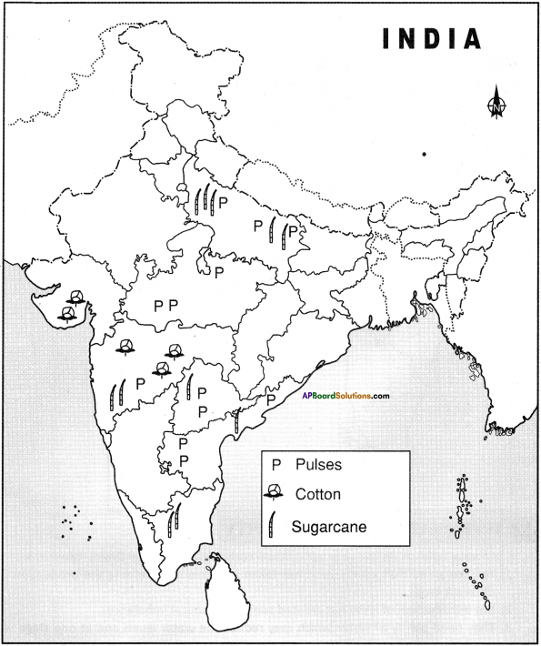 AP Board 9th Class Social Studies Important Questions Chapter 6 Agriculture in India 13
