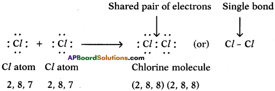 AP SSC 10th Class Chemistry Solutions Chapter 10 Chemical Bonding 10
