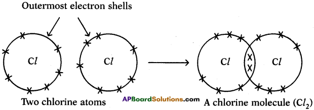 AP SSC 10th Class Chemistry Solutions Chapter 10 Chemical Bonding 11