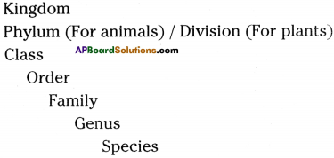 AP Board 9th Class Biology Important Questions Chapter 5 Diversity in Living Organism 3