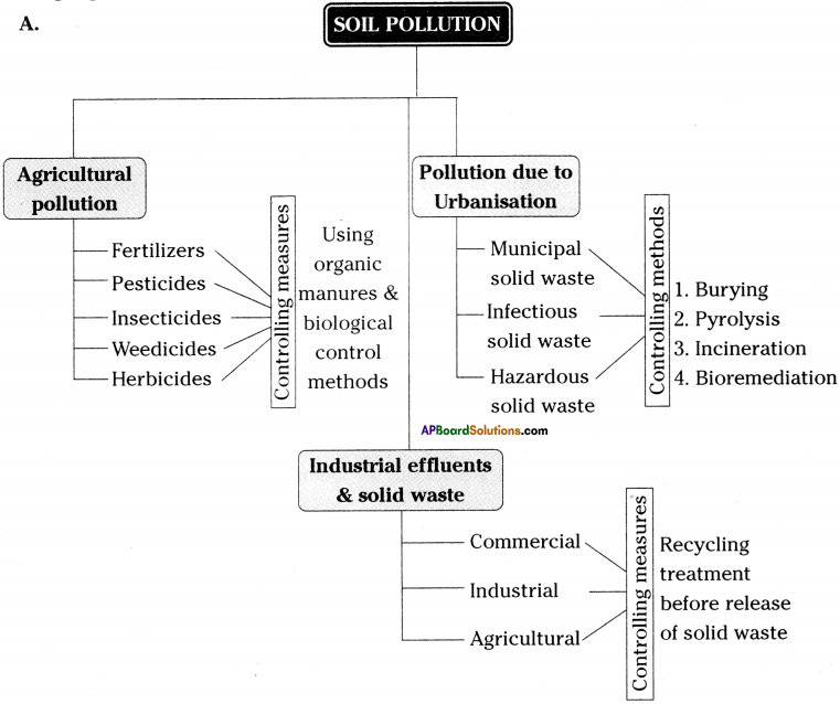 AP Board 9th Class Biology Solutions Chapter 10 Soil Pollution 2