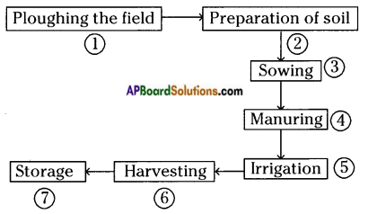 AP Board 8th Class Biology Important Chapter 8 Production and Management of Food From Plants 2