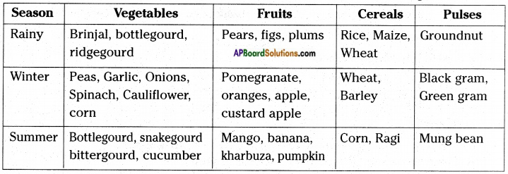 AP Board 8th Class Biology Solutions Chapter 8 Production and Management of Food From Plants 4