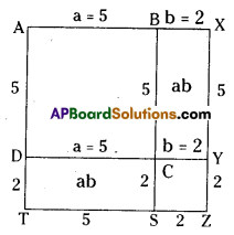 AP Board 8th Class Maths Solutions Chapter 11 Algebraic Expressions Ex 11.5 5