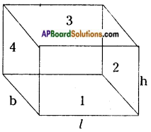 AP Board 8th Class Maths Solutions Chapter 14 Surface Areas and Volume (Cube-Cuboid) InText Questions 10