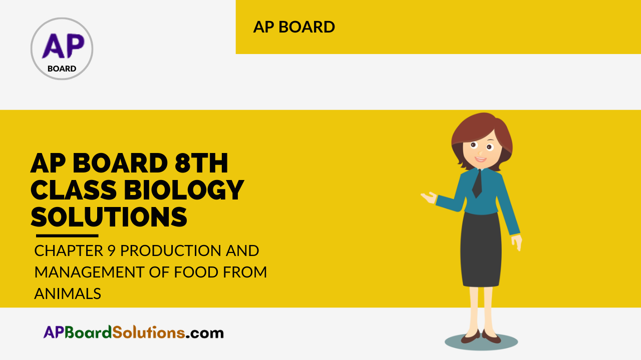 AP Board 8th Class Biology Solutions Chapter 9 Production and Management of Food From Animals