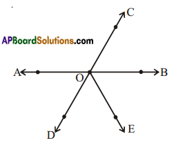 AP Board 7th Class Maths Solutions Chapter 4 Lines and Angles Ex 6 1
