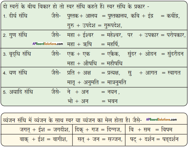 AP Board 9th Class Hindi Solutions Chapter 8 यक्ष प्रश्न 5