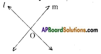 AP Board 9th Class Maths Notes Chapter 4 Lines and Angles 9
