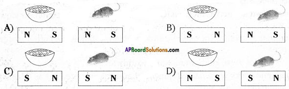 AP Board 6th Class Science Important Questions Chapter 6 Fun with Magnets 4