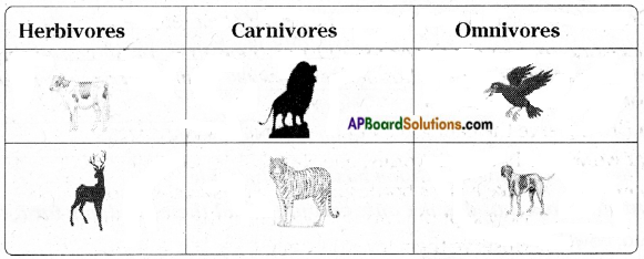 AP Board 6th Class Science Solutions Chapter 3 Animals and their Food – AP  Board Solutions