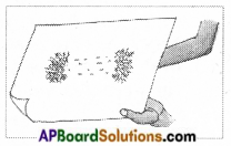 AP Board 6th Class Science Solutions Chapter 6 Fun with Magnets 10