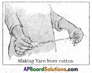 AP Board 6th Class Science Solutions Chapter 8 How Fabrics are Made 5