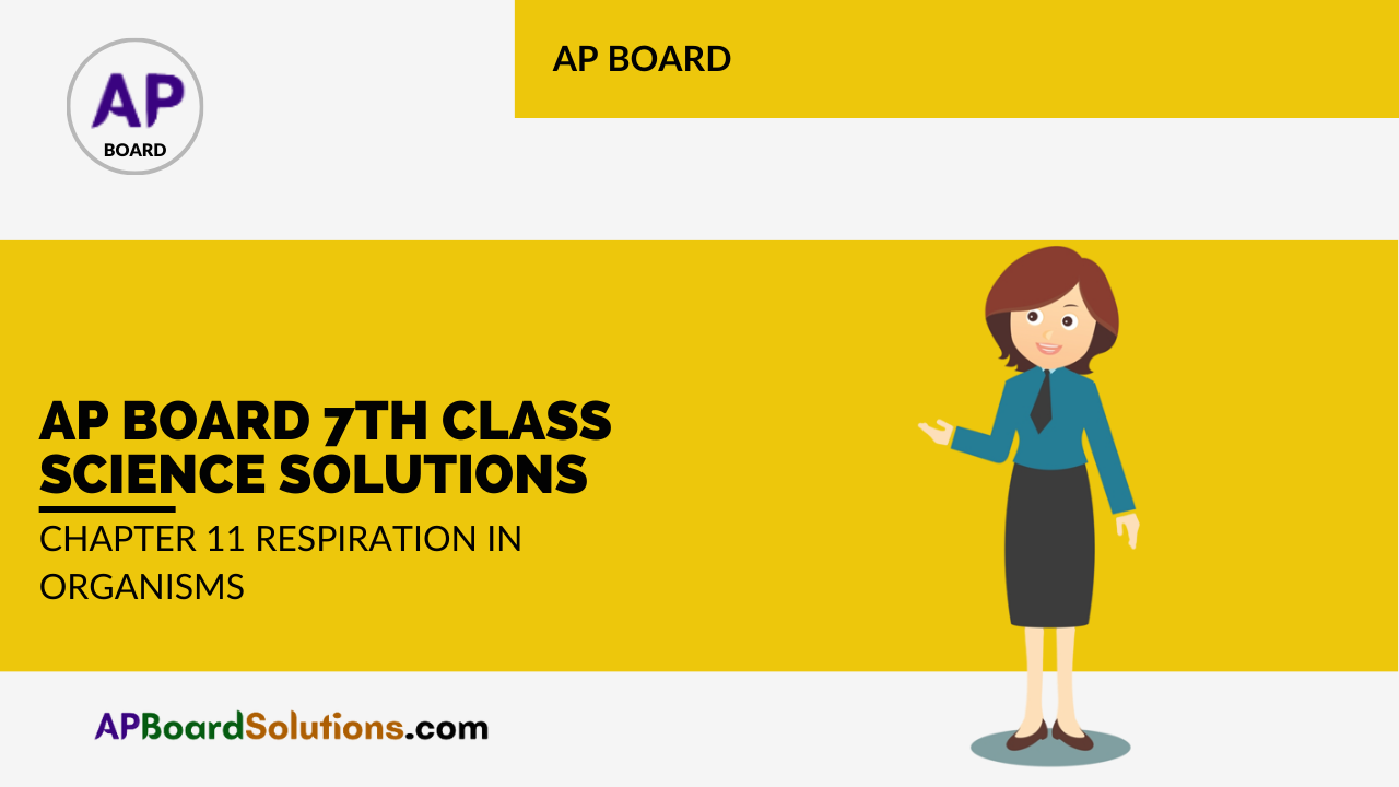 AP Board 7th Class Science Solutions Chapter 11 Respiration in Organisms