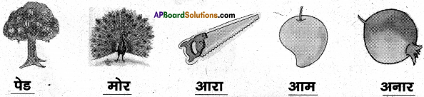 AP Board 6th Class Hindi Solutions Chapter 1 बारिश 22
