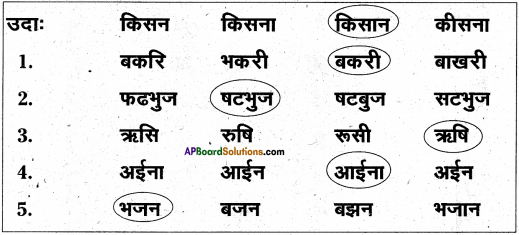 AP Board 6th Class Hindi Solutions Chapter 4 मेरा देश महान है 9