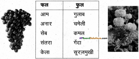 AP Board 6th Class Hindi Solutions Chapter 6 खिलौनेवाला 16