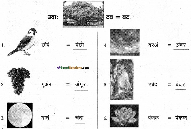 AP Board 6th Class Hindi Solutions Chapter 7 दो मित्र 16