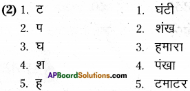 AP Board 6th Class Hindi Solutions Chapter 7 दो मित्र 24