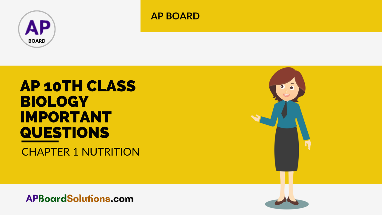 AP 10th Class Biology Important Questions Chapter 1 Nutrition