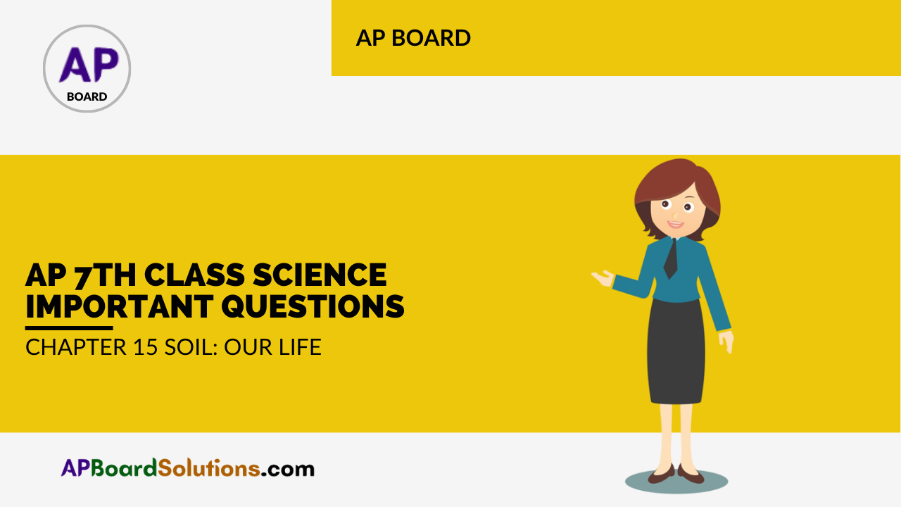 AP 7th Class Science Important Questions Chapter 15 Soil: Our Life