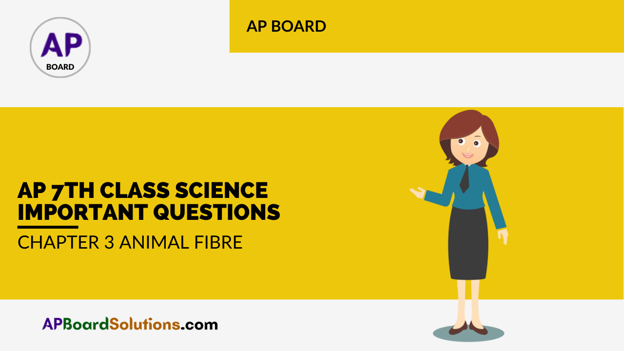 AP 7th Class Science Important Questions Chapter 3 Animal Fibre