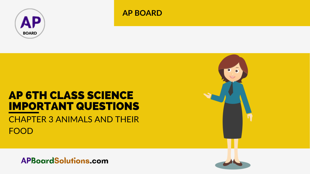 AP 6th Class Science Important Questions Chapter 3 Animals and their Food
