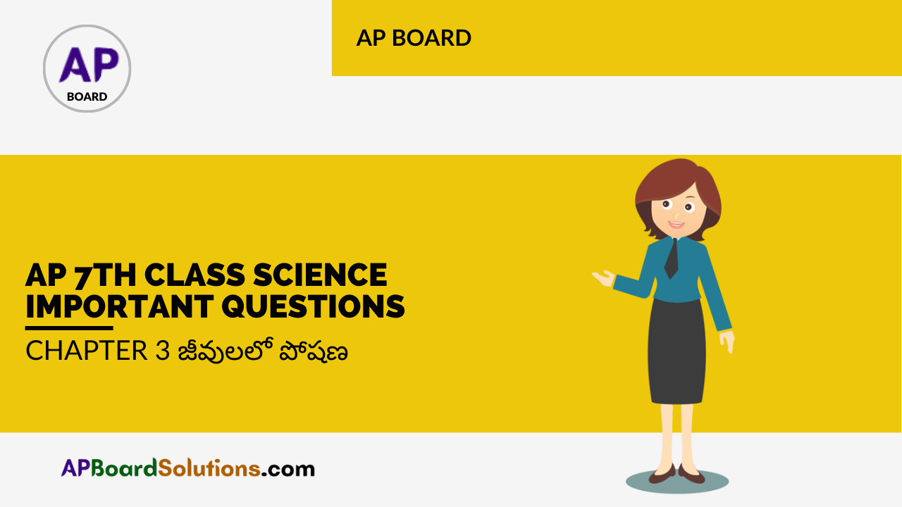 AP 7th Class Science Important Questions Chapter 3 జీవులలో పోషణ