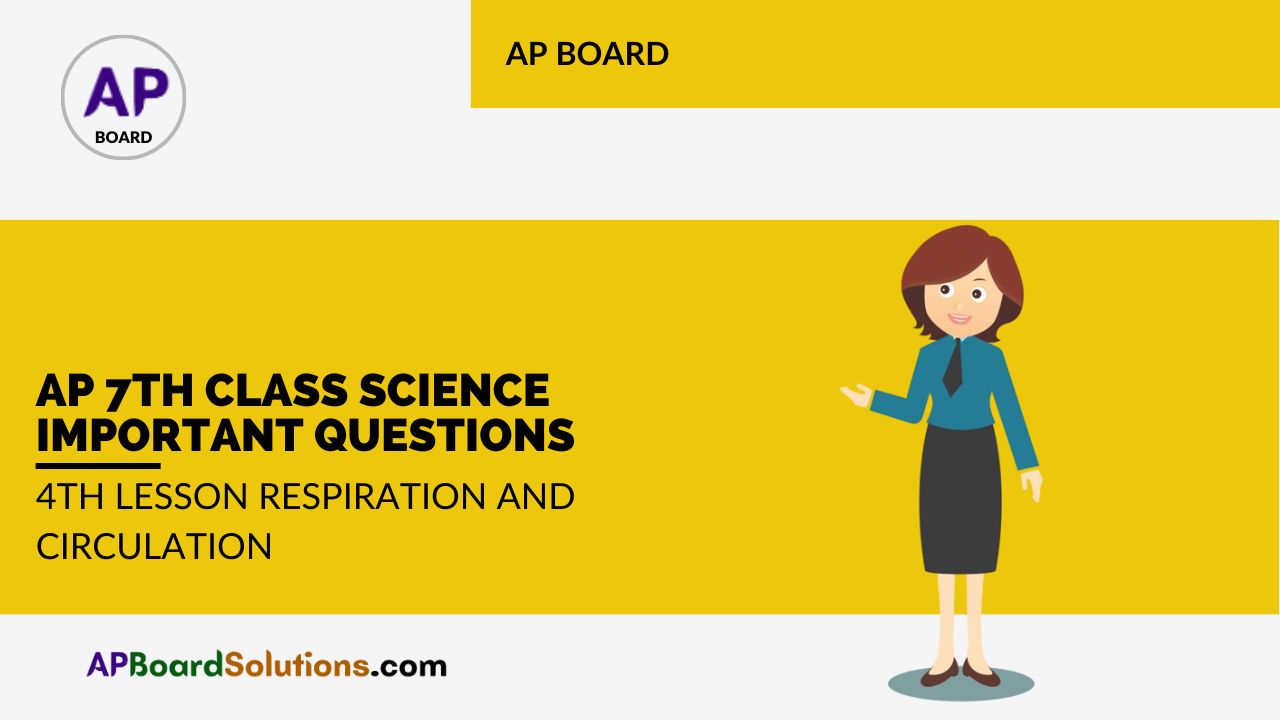 AP 7th Class Science Important Questions 4th Lesson Respiration and Circulation