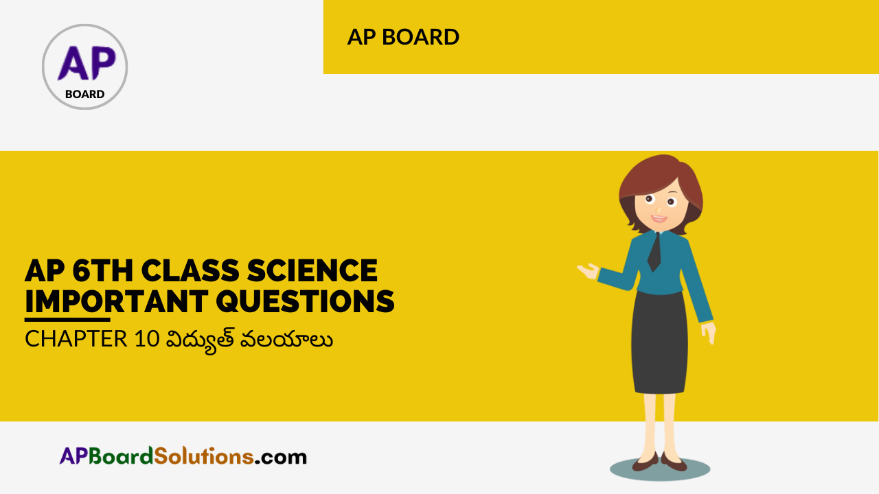 AP 6th Class Science Important Questions Chapter 10 విద్యుత్ వలయాలు