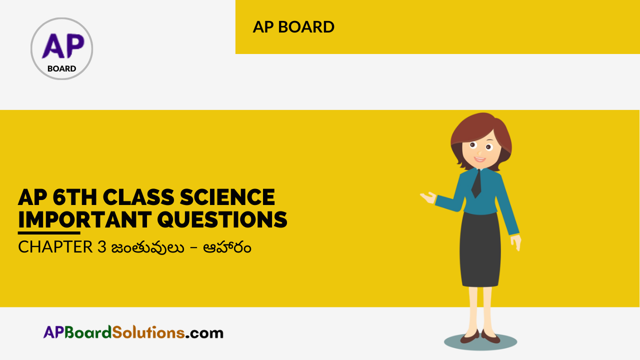 AP 6th Class Science Important Questions Chapter 3 జంతువులు – ఆహారం