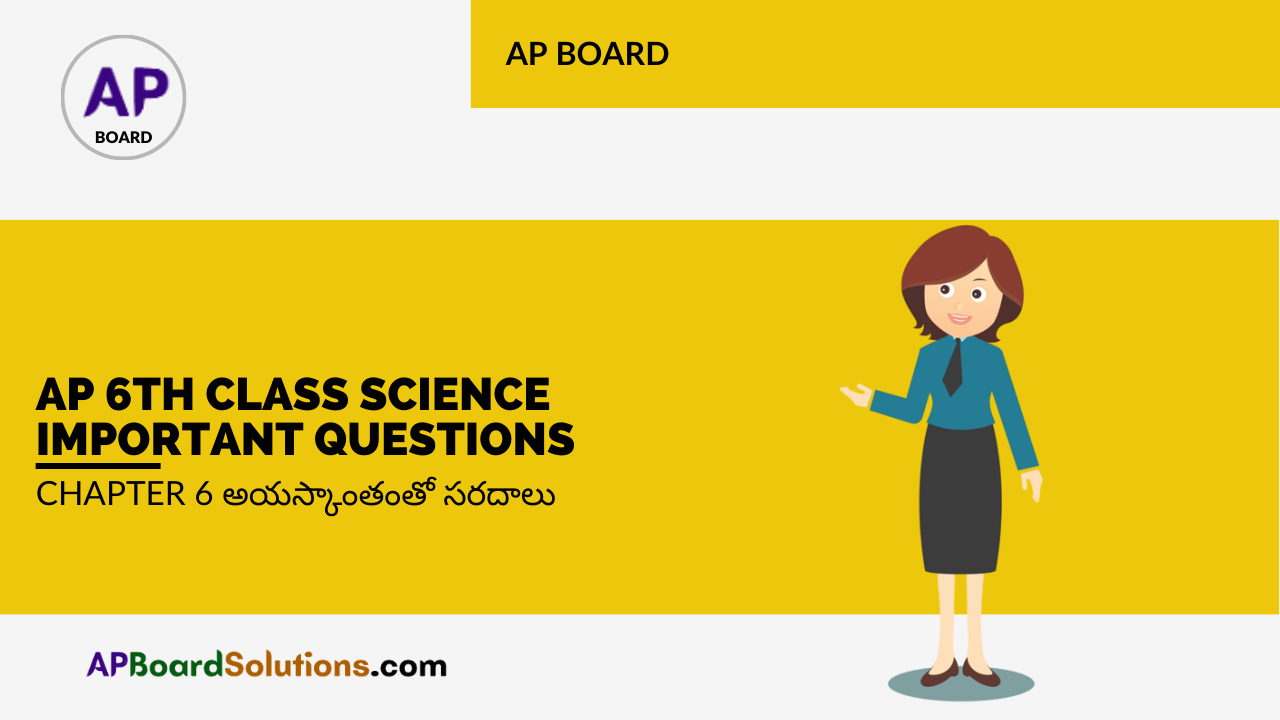 AP 6th Class Science Important Questions Chapter 6 అయస్కాంతంతో సరదాలు