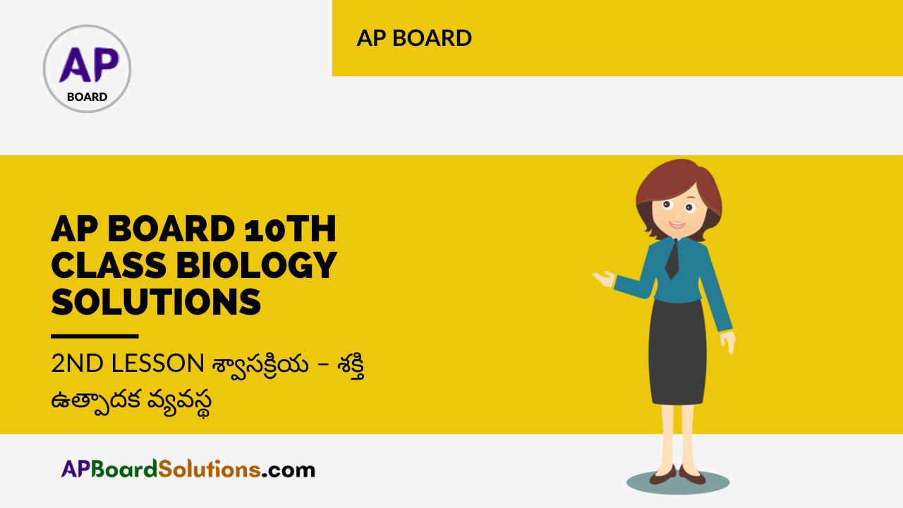 AP Board 10th Class Biology Solutions 2nd Lesson శ్వాసక్రియ – శక్తి ఉత్పాదక వ్యవస్థ