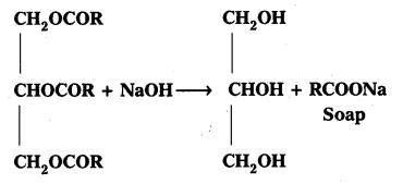 AP Inter 2nd Year Chemistry Study Material Chapter 10 Chemistry In Everyday Life 18