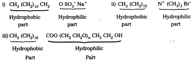 AP Inter 2nd Year Chemistry Study Material Chapter 10 Chemistry In Everyday Life 9