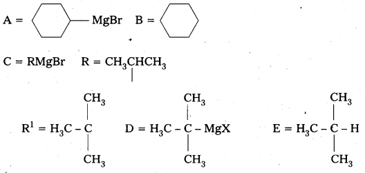 AP Inter 2nd Year Chemistry Study Material Chapter 11 Haloalkanes And Haloarenes 73