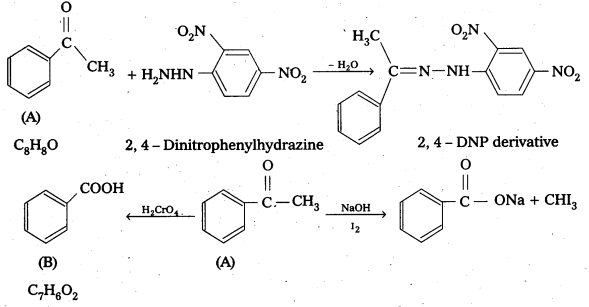 AP Inter 2nd Year Chemistry Study Material Chapter 12(b) Aldehydes, Ketones, and Carboxylic Acids 73