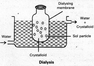 AP Inter 2nd Year Chemistry Study Material Chapter 4 Surface Chemistry 26