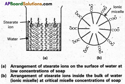 AP Inter 2nd Year Chemistry Study Material Chapter 4 Surface Chemistry 27