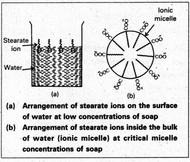 AP Inter 2nd Year Chemistry Study Material Chapter 4 Surface Chemistry 41