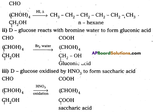 AP Inter 2nd Year Chemistry Study Material Chapter 9 Biomolecules 13