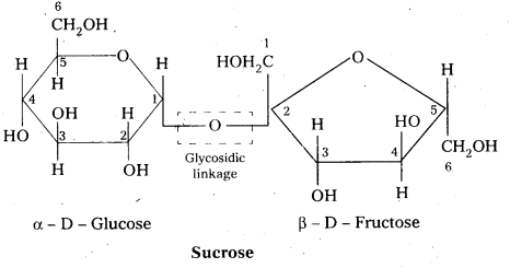 AP Inter 2nd Year Chemistry Study Material Chapter 9 Biomolecules 32