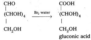 AP Inter 2nd Year Chemistry Study Material Chapter 9 Biomolecules 4