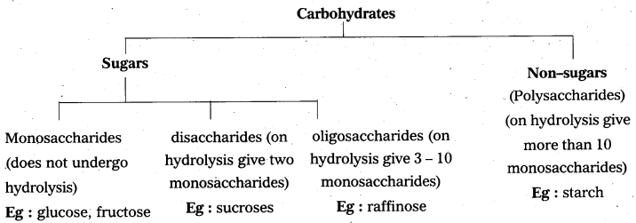 AP Inter 2nd Year Chemistry Study Material Chapter 9 Biomolecules 45