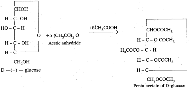 AP Inter 2nd Year Chemistry Study Material Chapter 9 Biomolecules 67