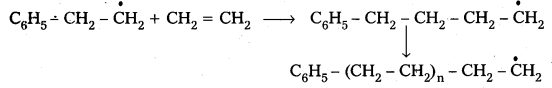 Inter 2nd Year Chemistry Study Material Chapter 8 Polymers 12