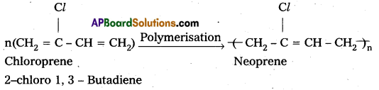 Inter 2nd Year Chemistry Study Material Chapter 8 Polymers 25