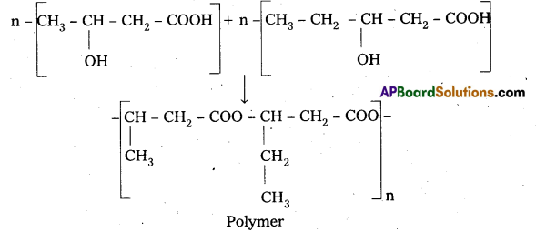Inter 2nd Year Chemistry Study Material Chapter 8 Polymers 7