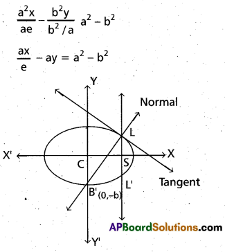 Inter 2nd Year Maths 2B Ellipse Important Questions 17