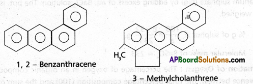 AP Inter 1st Year Chemistry Study Material Chapter 13 Organic Chemistry-Some Basic Principles and Techniques 124